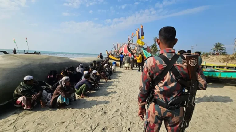 image_153232_1736081077