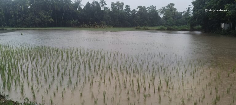 664e5a8d-bf07-4e23-9367-52fb6154ca2a