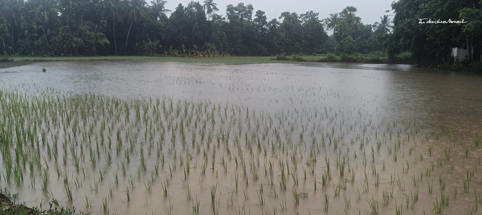 664e5a8d-bf07-4e23-9367-52fb6154ca2a