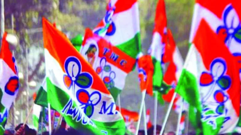 Large_Image_tmc-flag-picture