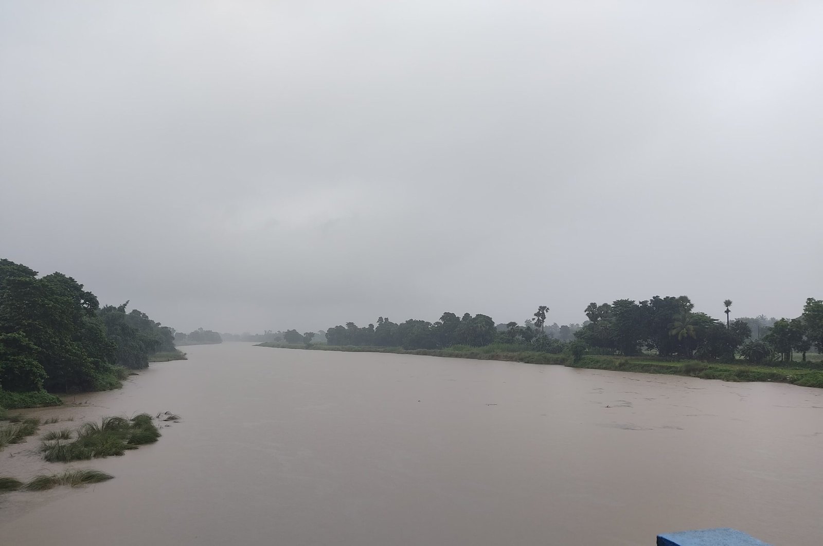 c3f10f21-7fec-4b48-948f-2a1b9b8169a4