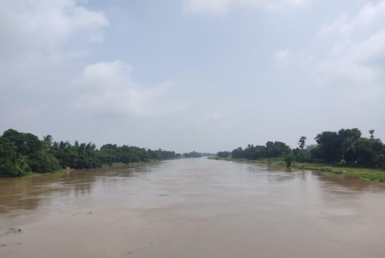 00a2a1c6-5c88-4c78-aba1-0b5a86e8e677