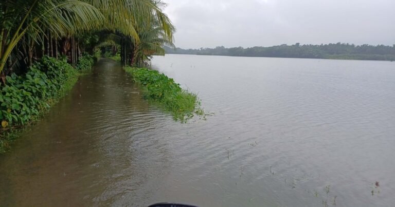 20240822_153140-50f9e586b805c73ecf05abcdeb2dd8ee