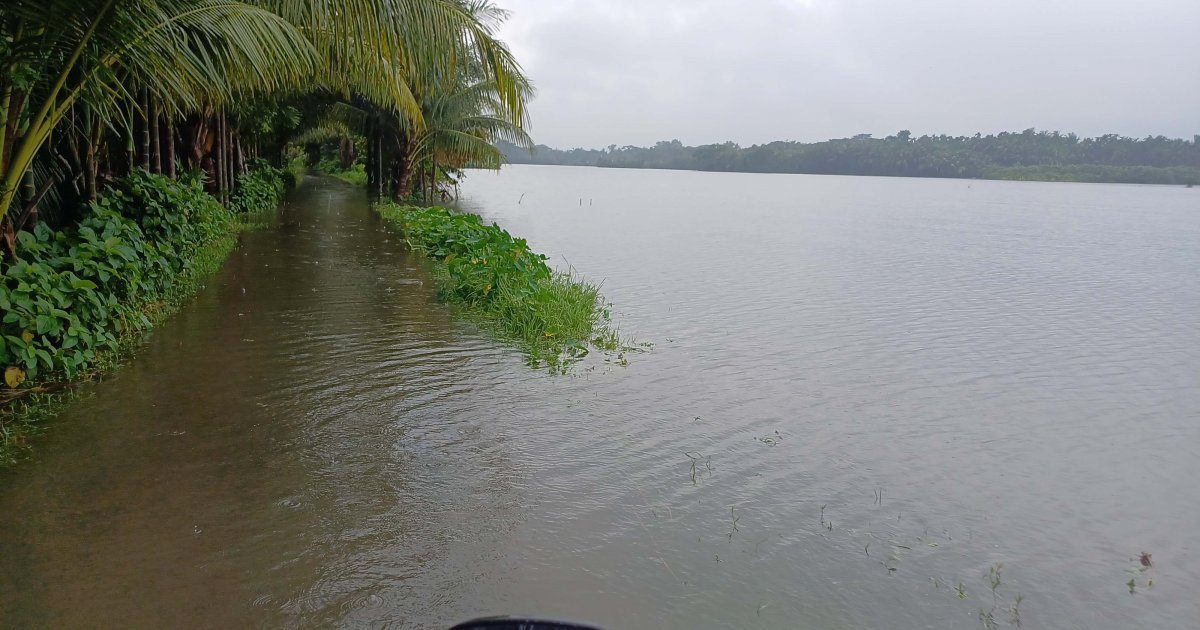 20240822_153140-50f9e586b805c73ecf05abcdeb2dd8ee