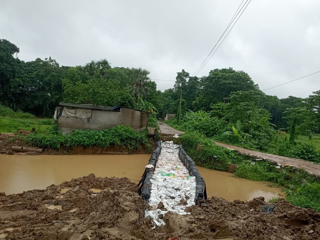 47ae1fcd-7760-4224-9081-b3d594fdf7f3