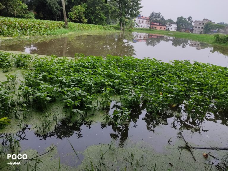 4ff28de7-ac40-4c30-9185-71a707c46778