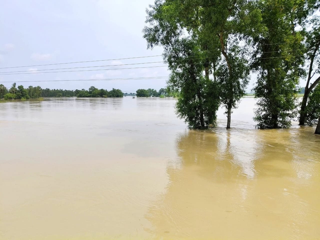 55925392-7f9d-442d-b625-9fc7caa9bc05