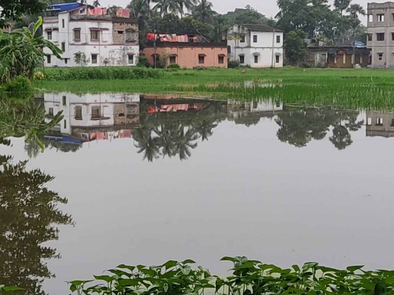 71984d3e-b479-4c8a-a3f6-c3dc61b103b8