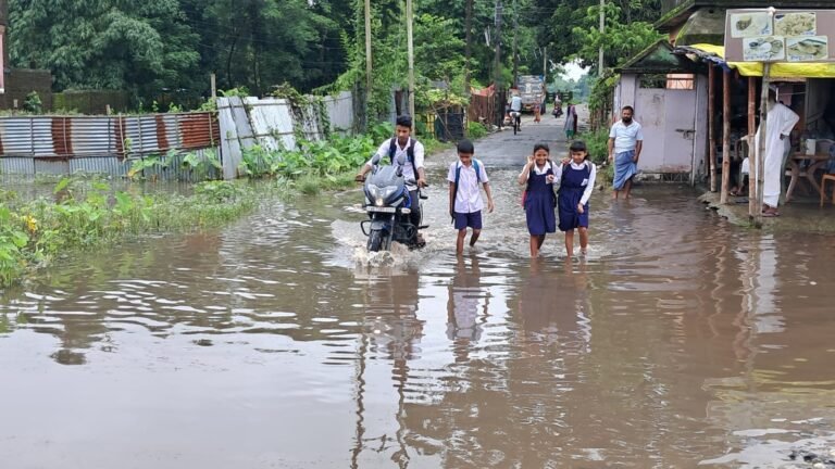 88d3a56b-ce1e-4ca4-8b50-db10d69b20c0