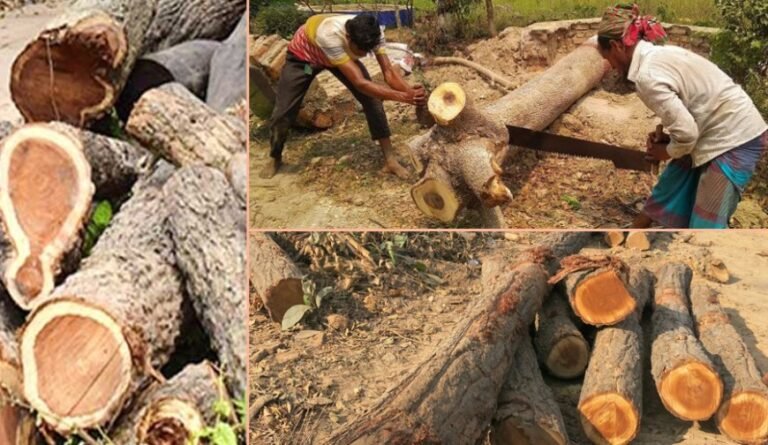 GK_2024-05-05_663763b61205a