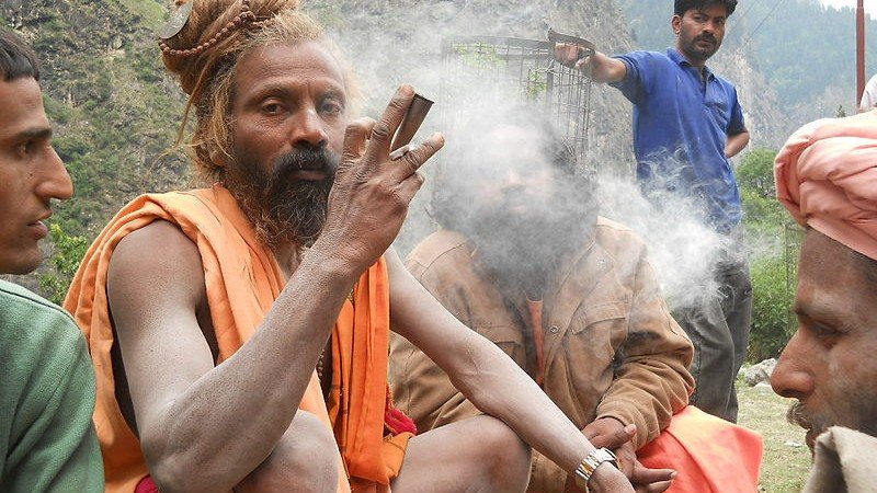 WhatsApp Image 2025-08-11 at 18.35.51_26280cfd