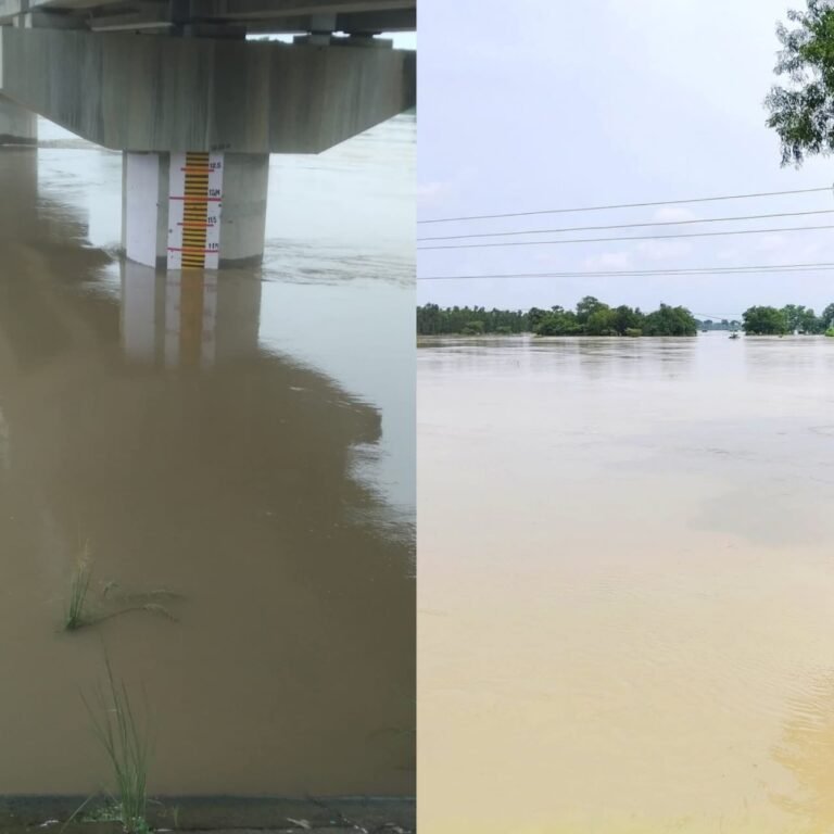 bf20cc7f-2dd3-43ae-b93a-7ef7bb1fae3d