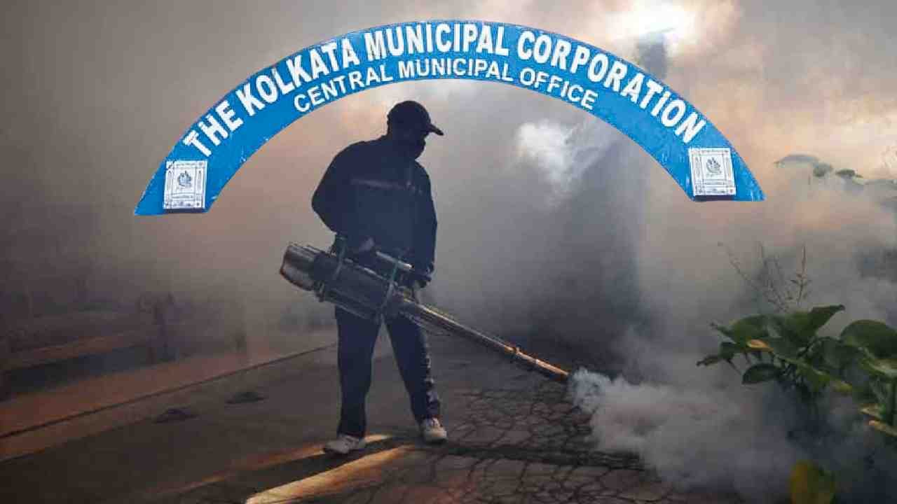 dengue-in-kolkata-