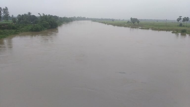 e80a38d3-9bf6-48cb-8bbe-6fab0fff7c53