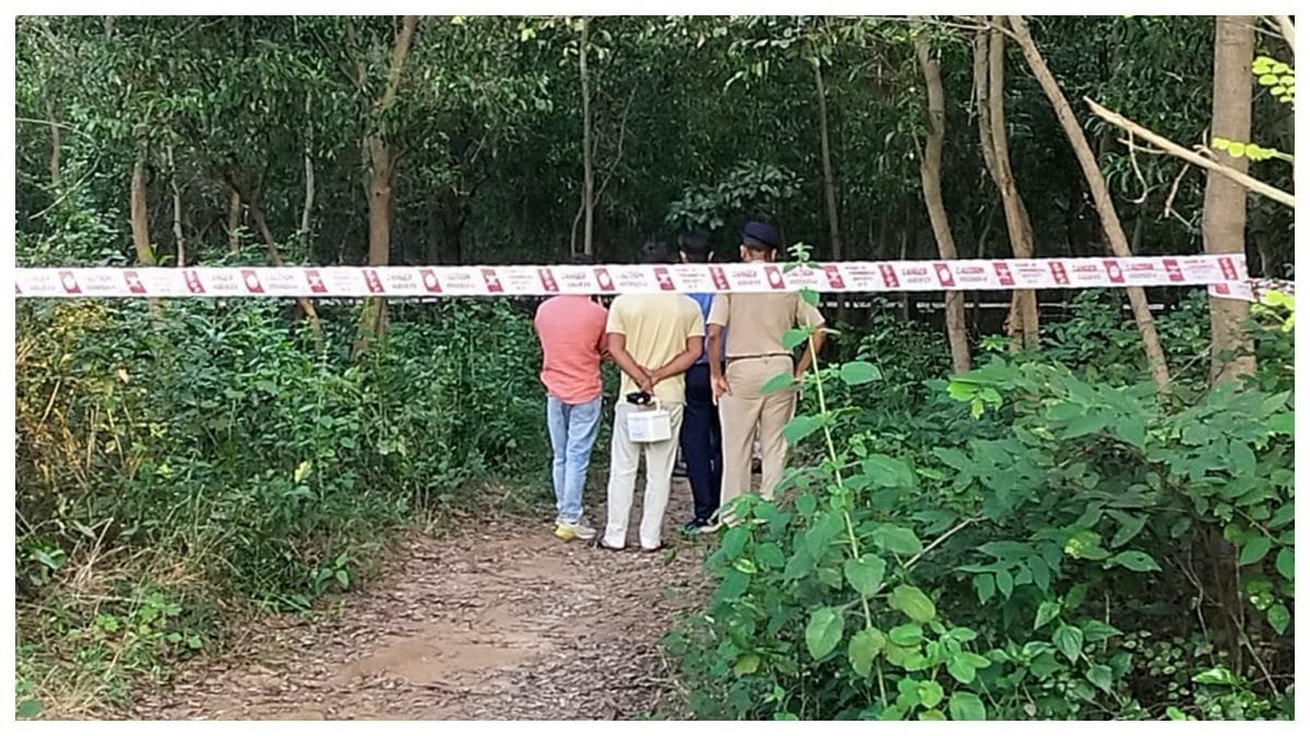 20defad1-68ac-43f8-835a-2260ba93803d