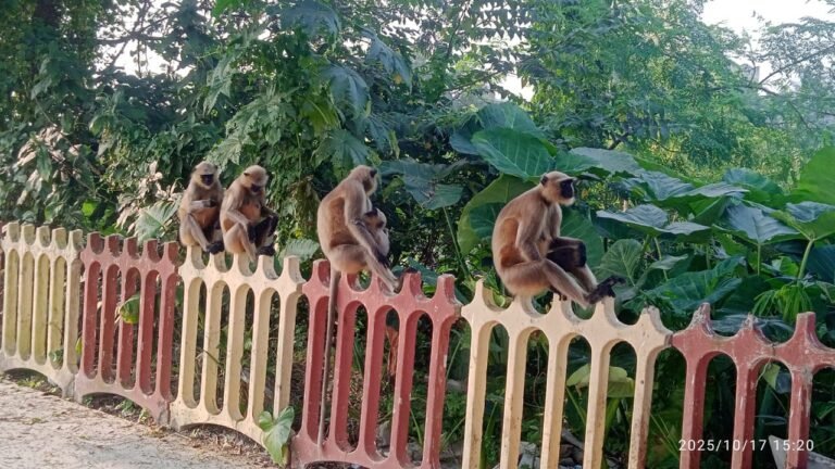 3314d836-f391-40b0-ab19-d85a3f24b99b