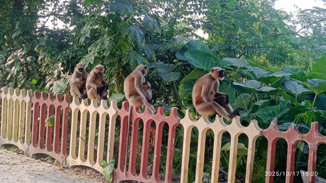 3314d836-f391-40b0-ab19-d85a3f24b99b