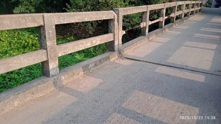 3dfb0c07-43b9-496a-9893-27e5e5f3441d