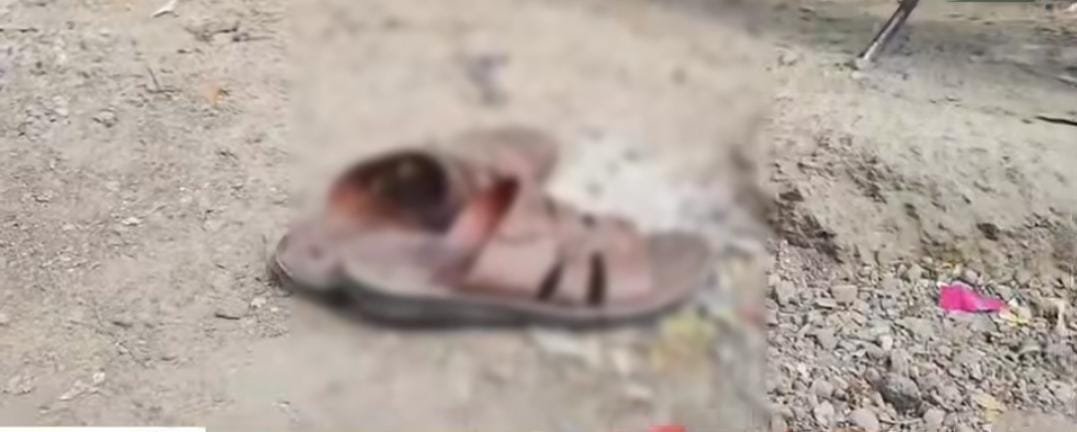 d97157bd-e153-4e7a-a7dd-979515721813