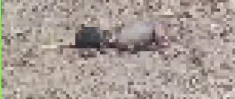 6f9e288a-a289-4773-aacb-bc1a81670fec