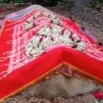 ff415605-c318-441a-aa9b-8bc306b466db