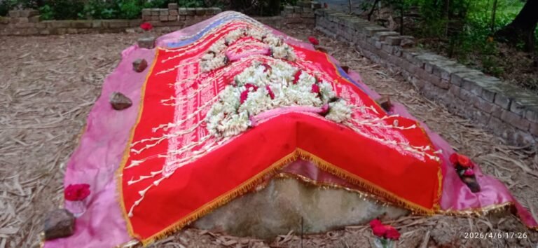 ff415605-c318-441a-aa9b-8bc306b466db